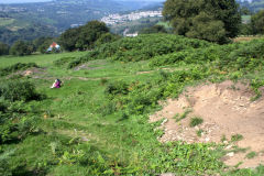 Level behind old Llanhilleth Farm, August 2013
